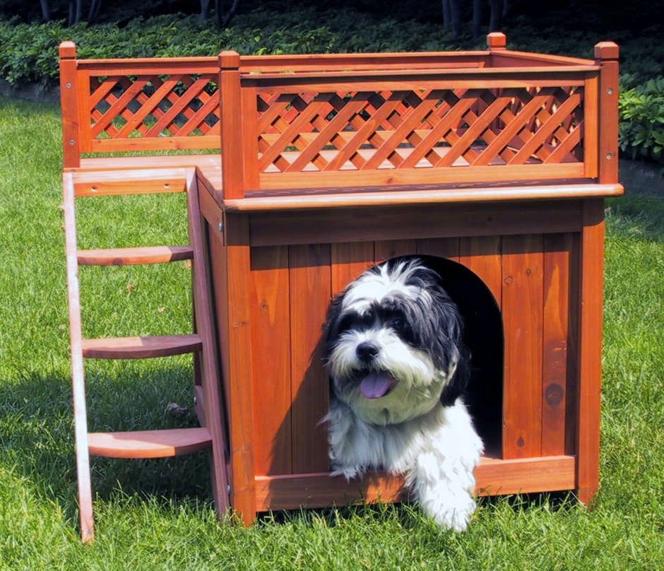 Ящик для собаки