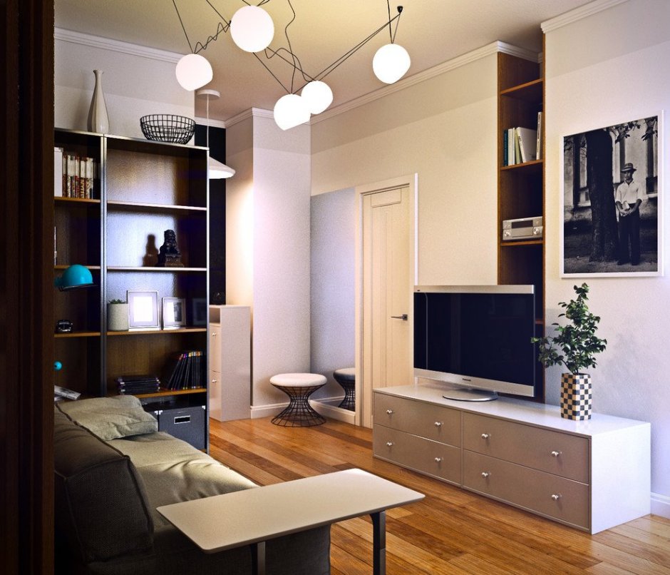 Современная мебель для однокомнатной квартиры
