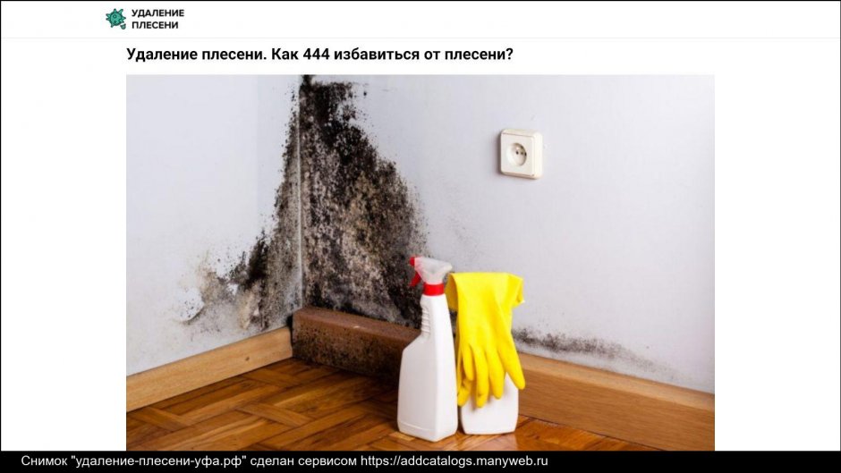 Плесень на стенах в квартире