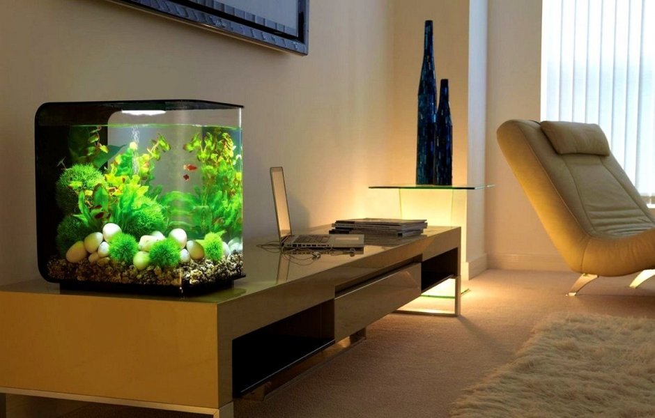 Интерьер зала с аквариумом