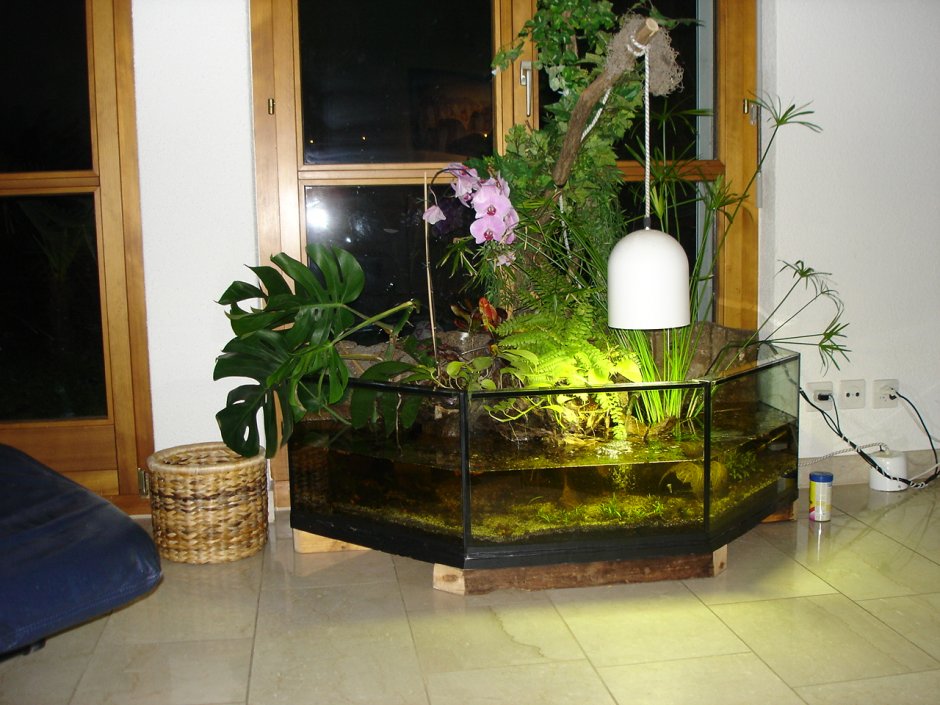 Уголок с аквариумом и цветами