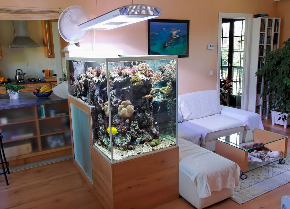 Зеленый уголок в квартире с аквариумом (33 фото)