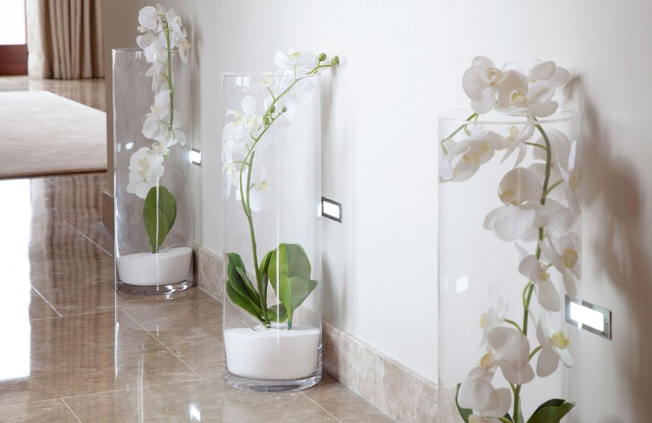 Белые орхидеи в интерьере квартиры