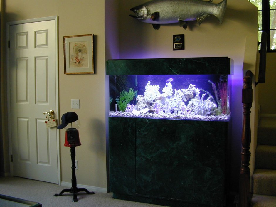 Морской аквариум в интерьере маленькой квартиры