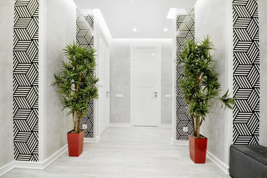 Расцветка коридора