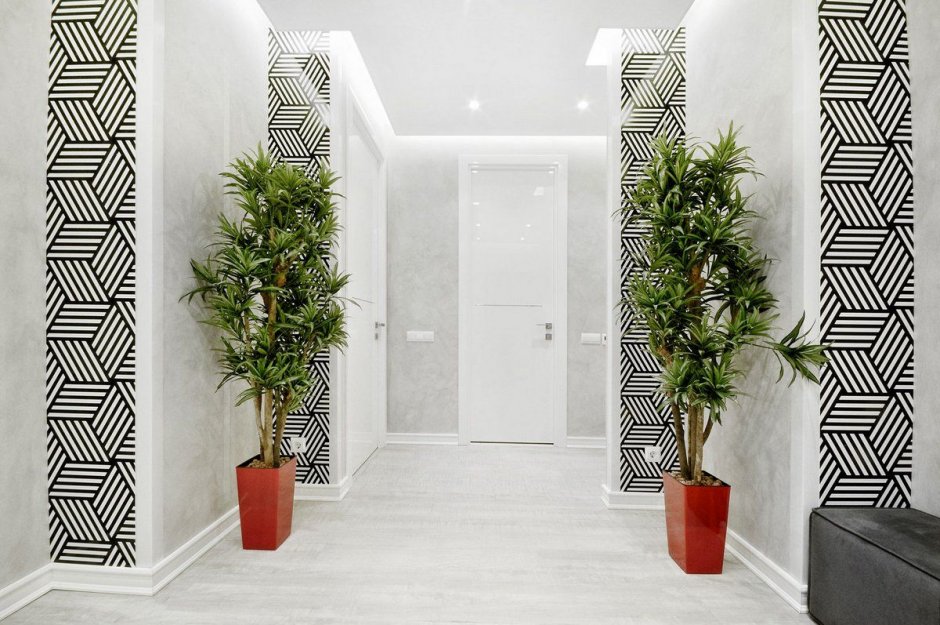 Растения в коридоре