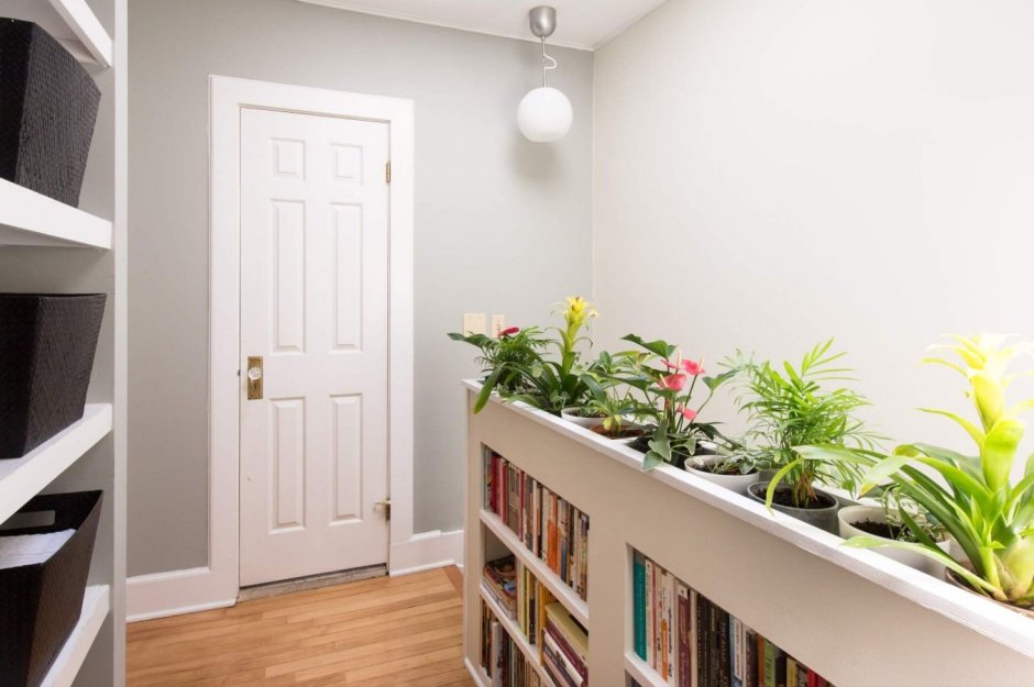 Комнатные растения в интерьере маленькой квартиры