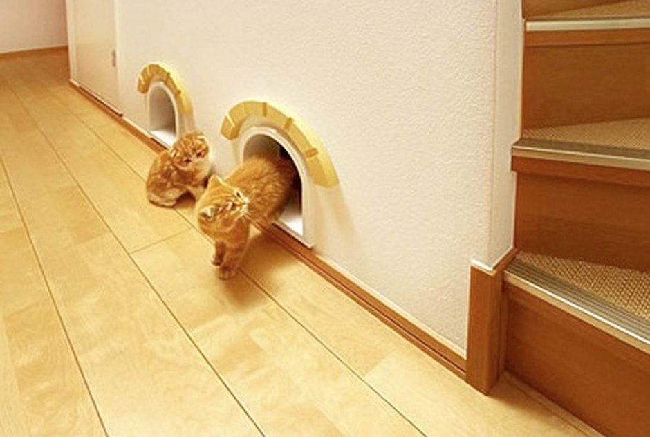 Дверка для кошки под лестницей