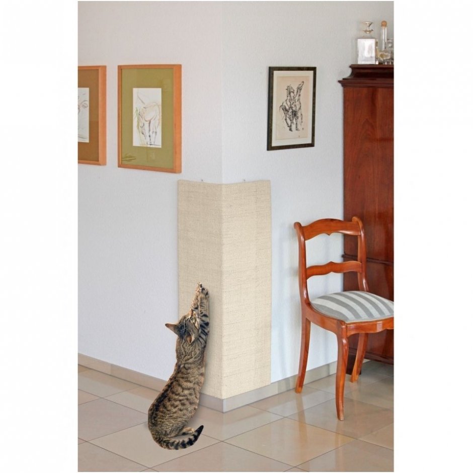 Столб когтеточка для кошек до потолка