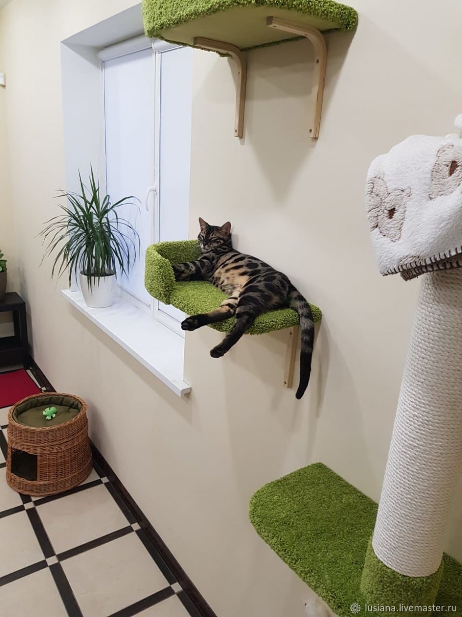 Когтеточка для кошек в коридоре (34 фото)