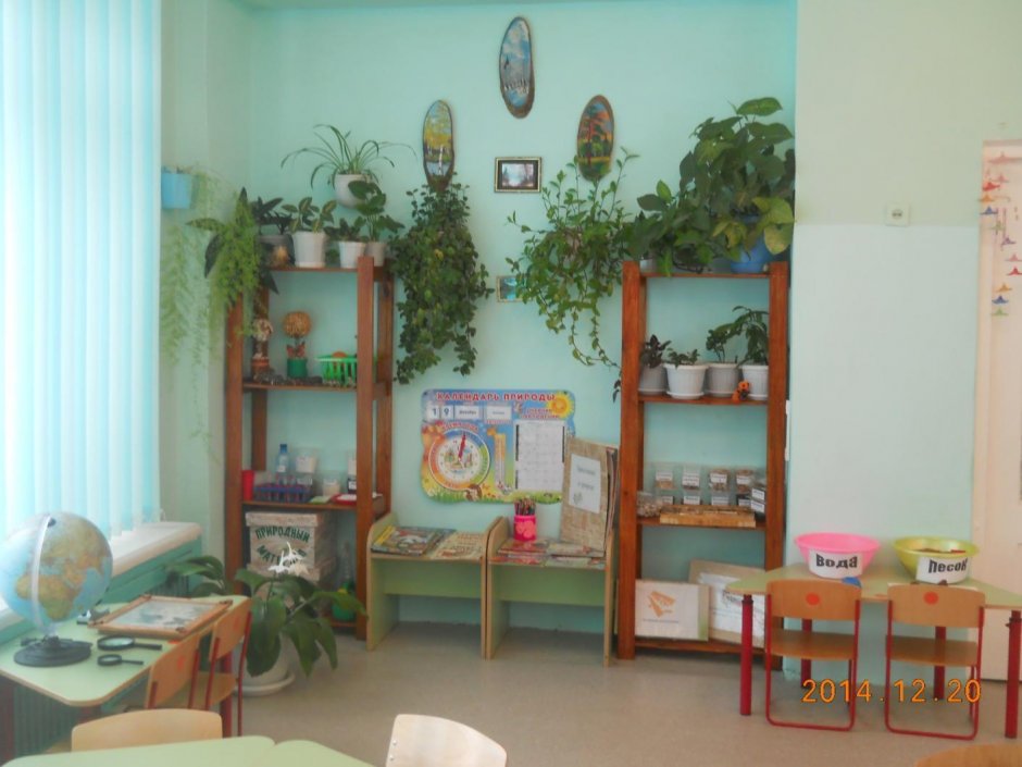 Экологическая гостиная в детском саду