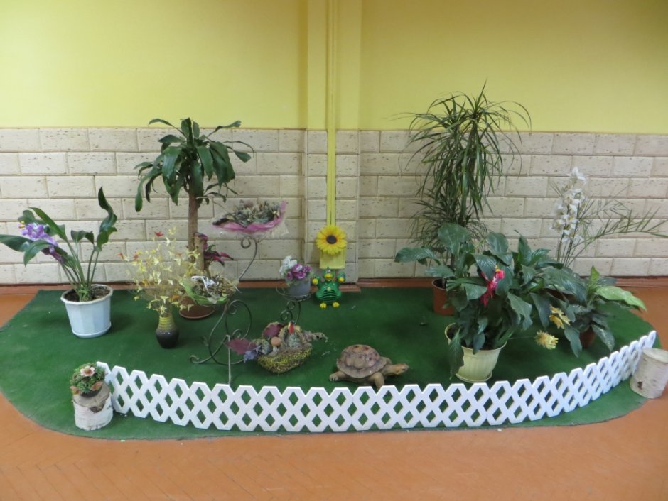 Зеленая зона в детском саду