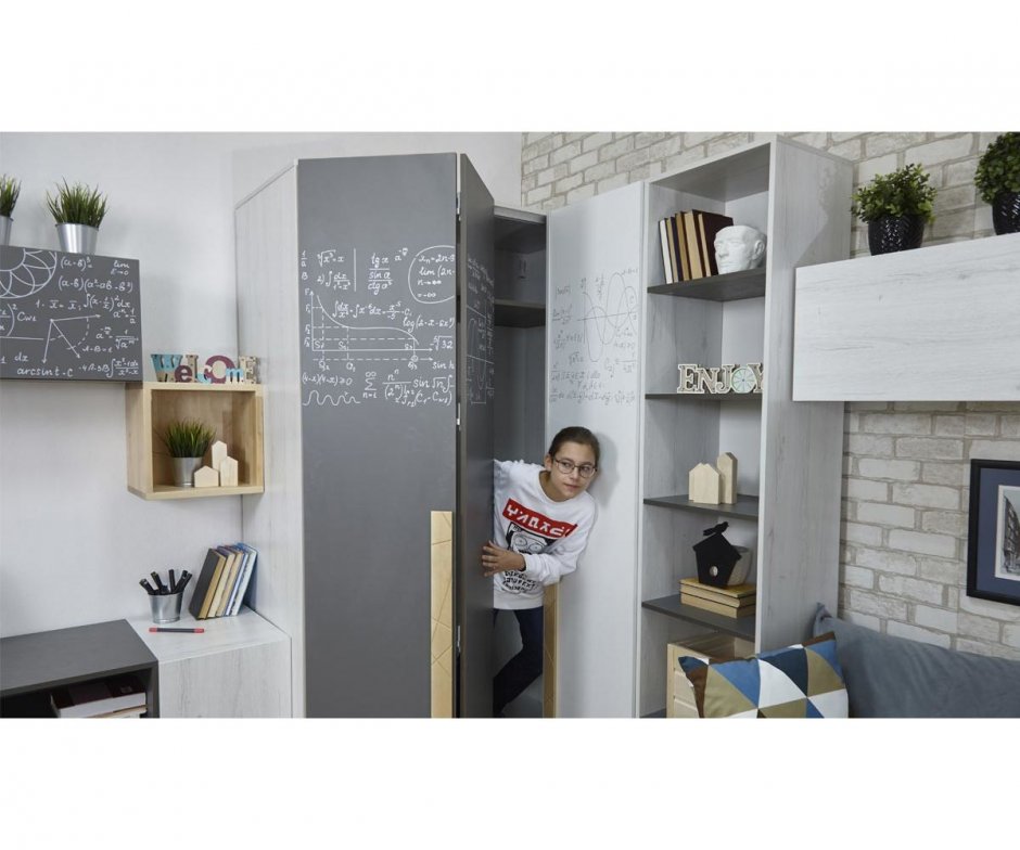 Шкаф Ньютон грей 38 попугаев