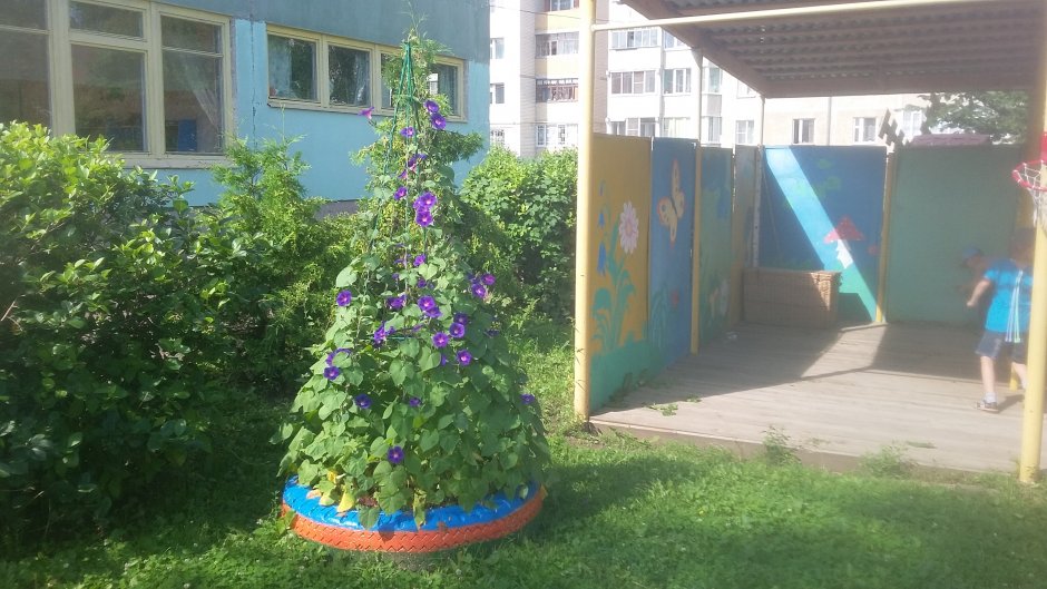 Озеленение территории детского сада