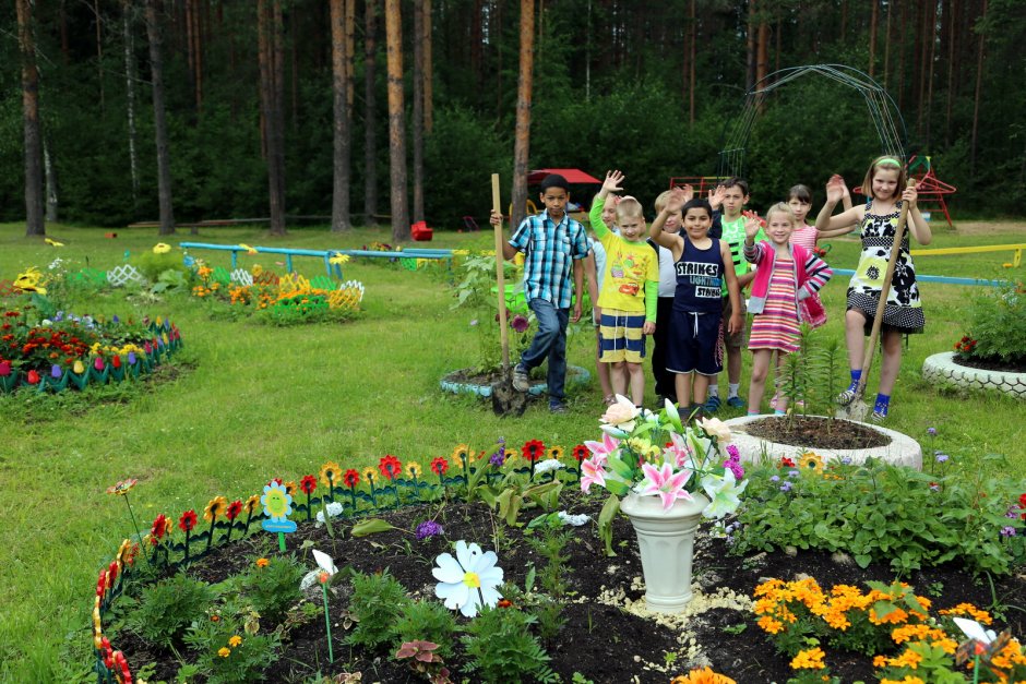 Озеленение участков в детском саду