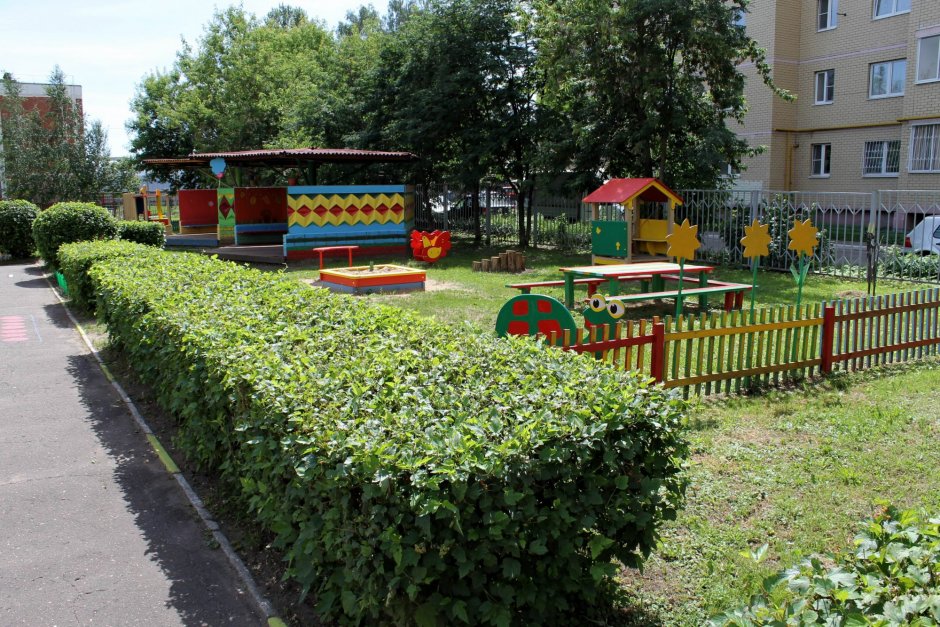 Озеленение участков в детском саду