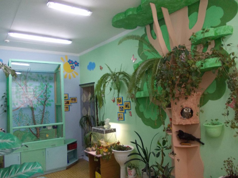 Экологический кабинет в детском саду (32 фото)