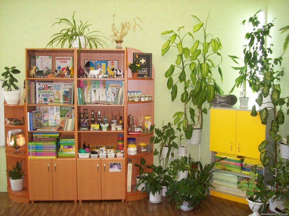 Озеленение кабинета в школе