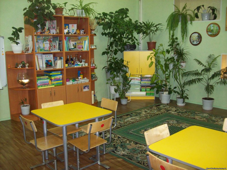 Экологический кабинет в детском саду