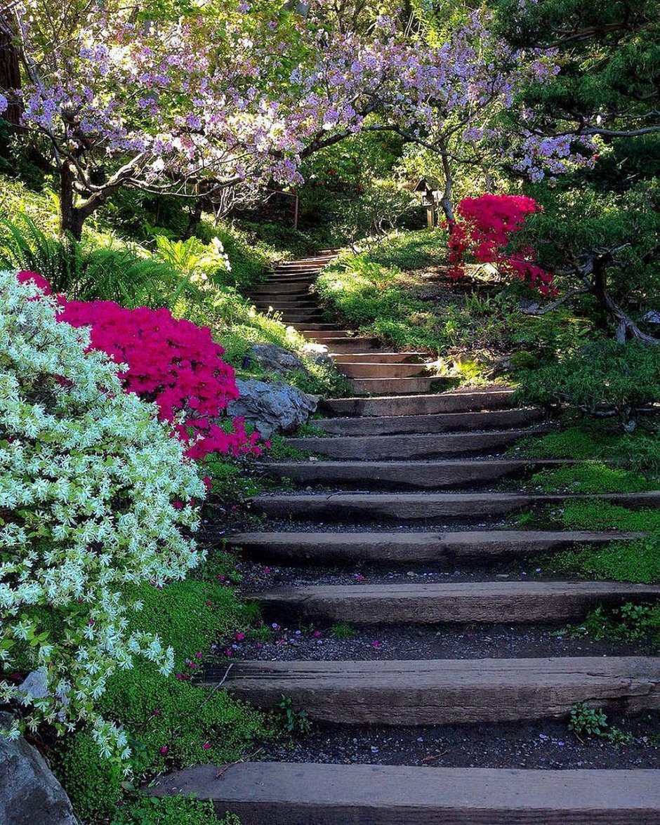 Садовая лестница