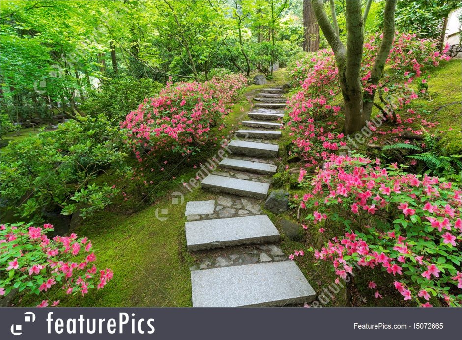 Ступени лестницы в парке- японские картинки