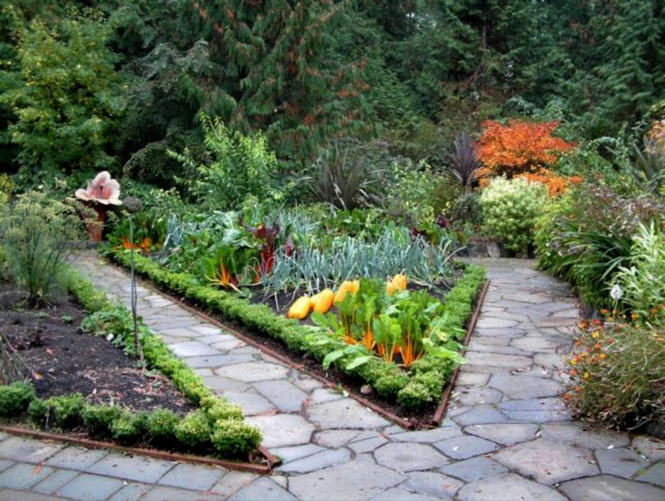Красивый сад и огород