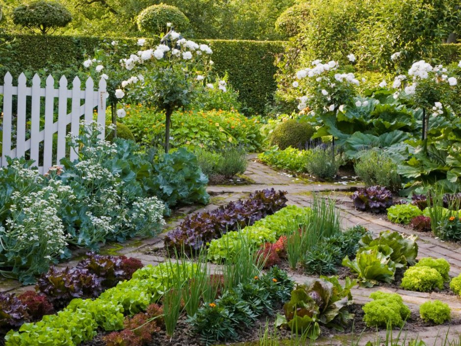 Плодовый сад и огородик ландшафт