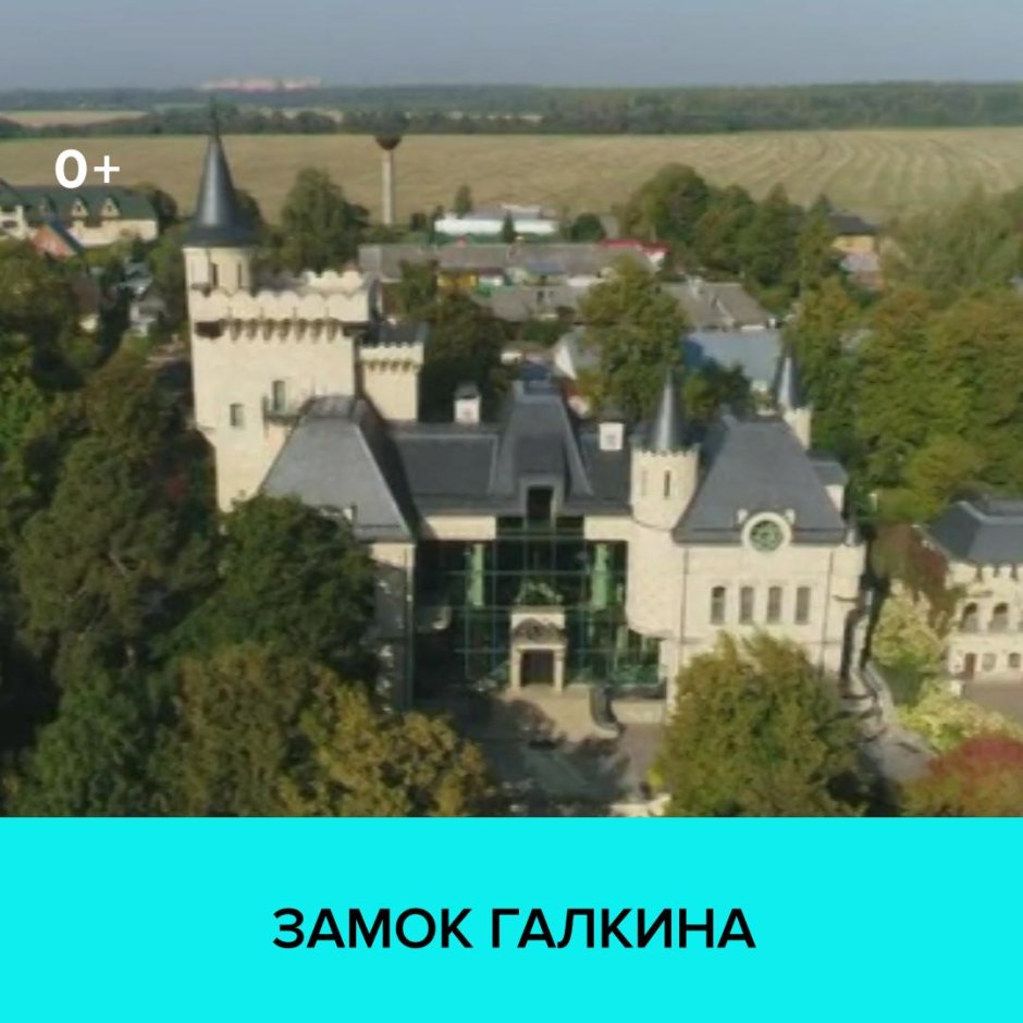Дворец Галкина и Пугачевой в деревне грязь
