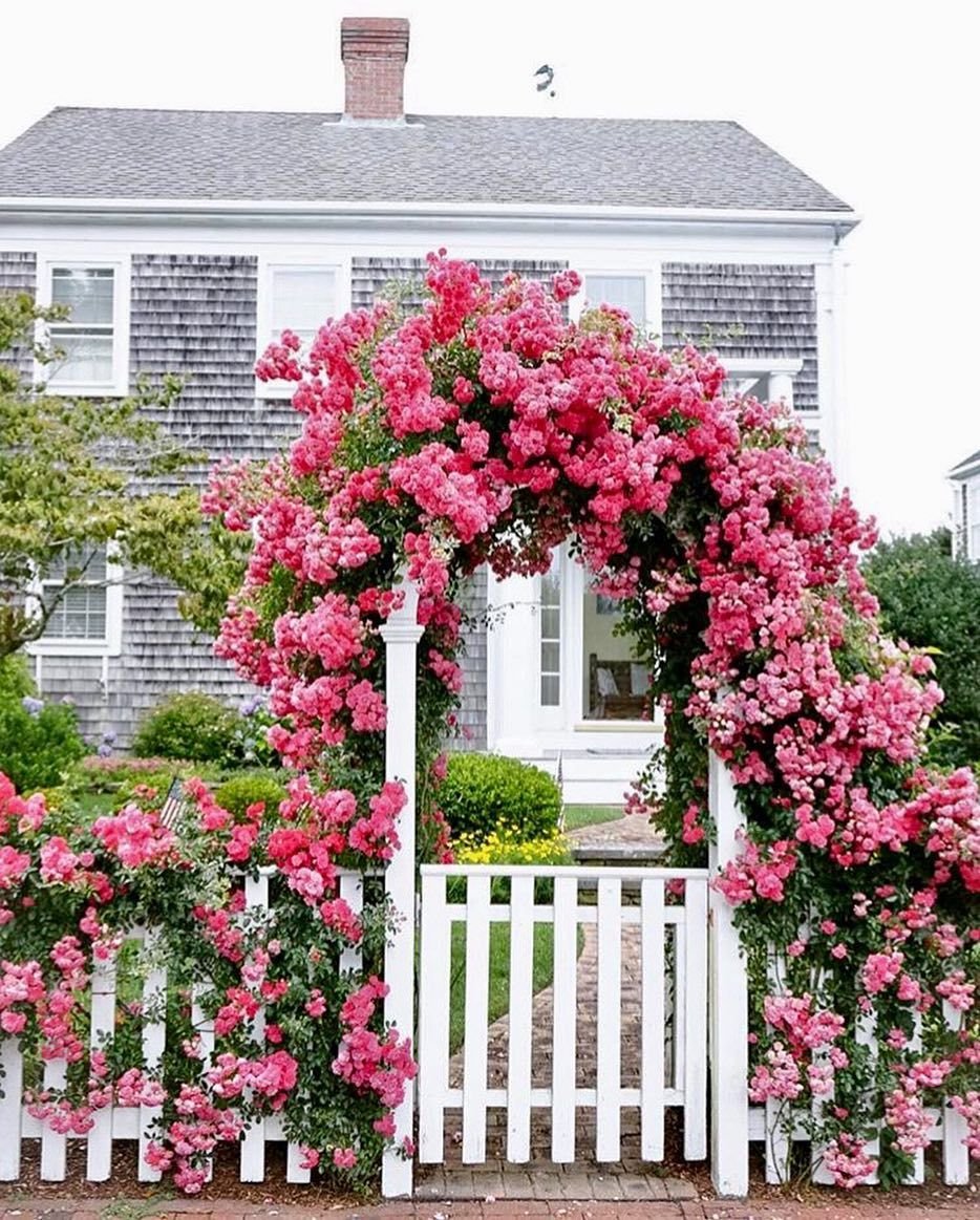 Красивый балкон с розами