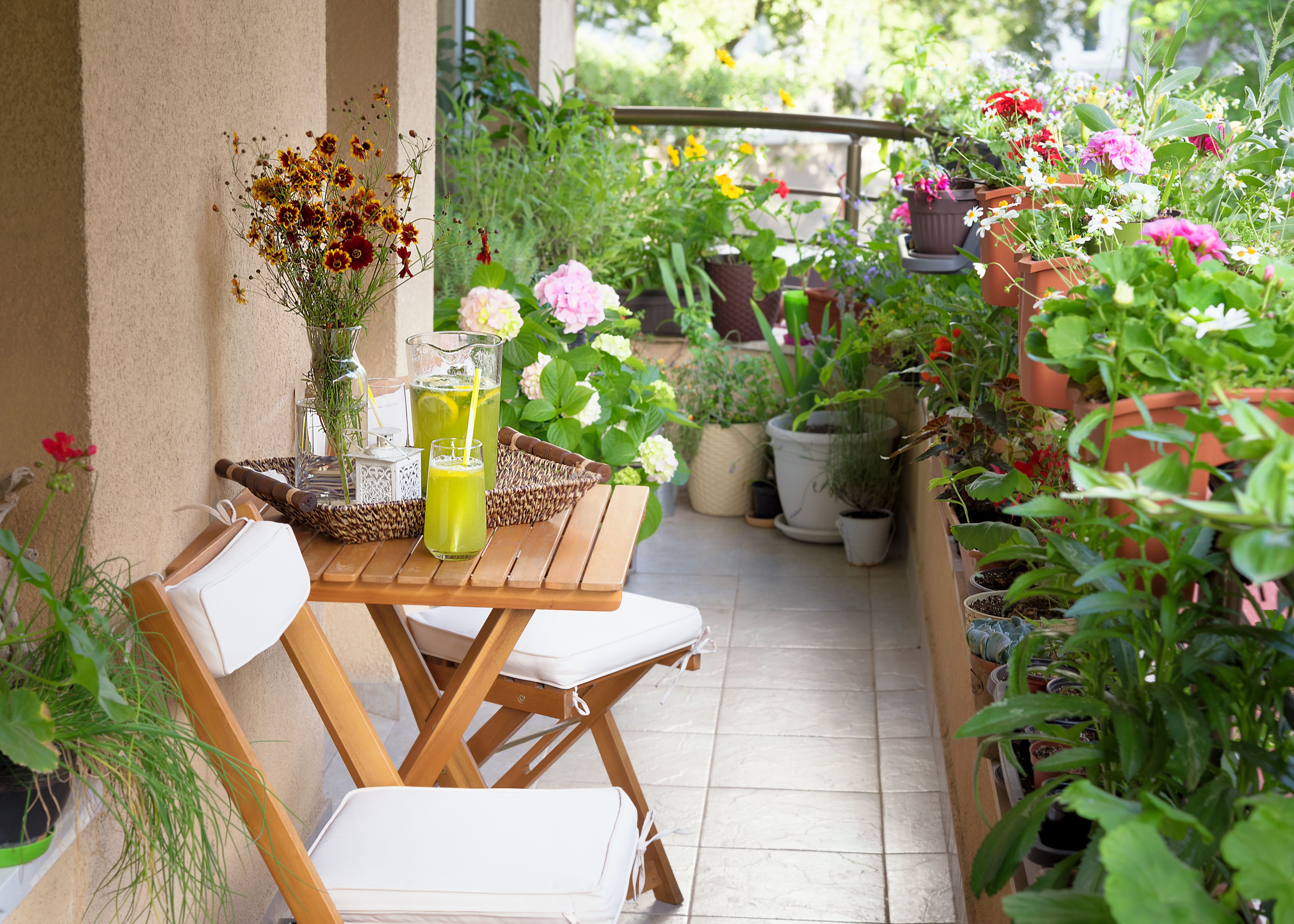 Что можно посадить на балконе. Озеленение балкона. Растения на балконе. Украшение балкона цветами. Уютный балкон с цветами.
