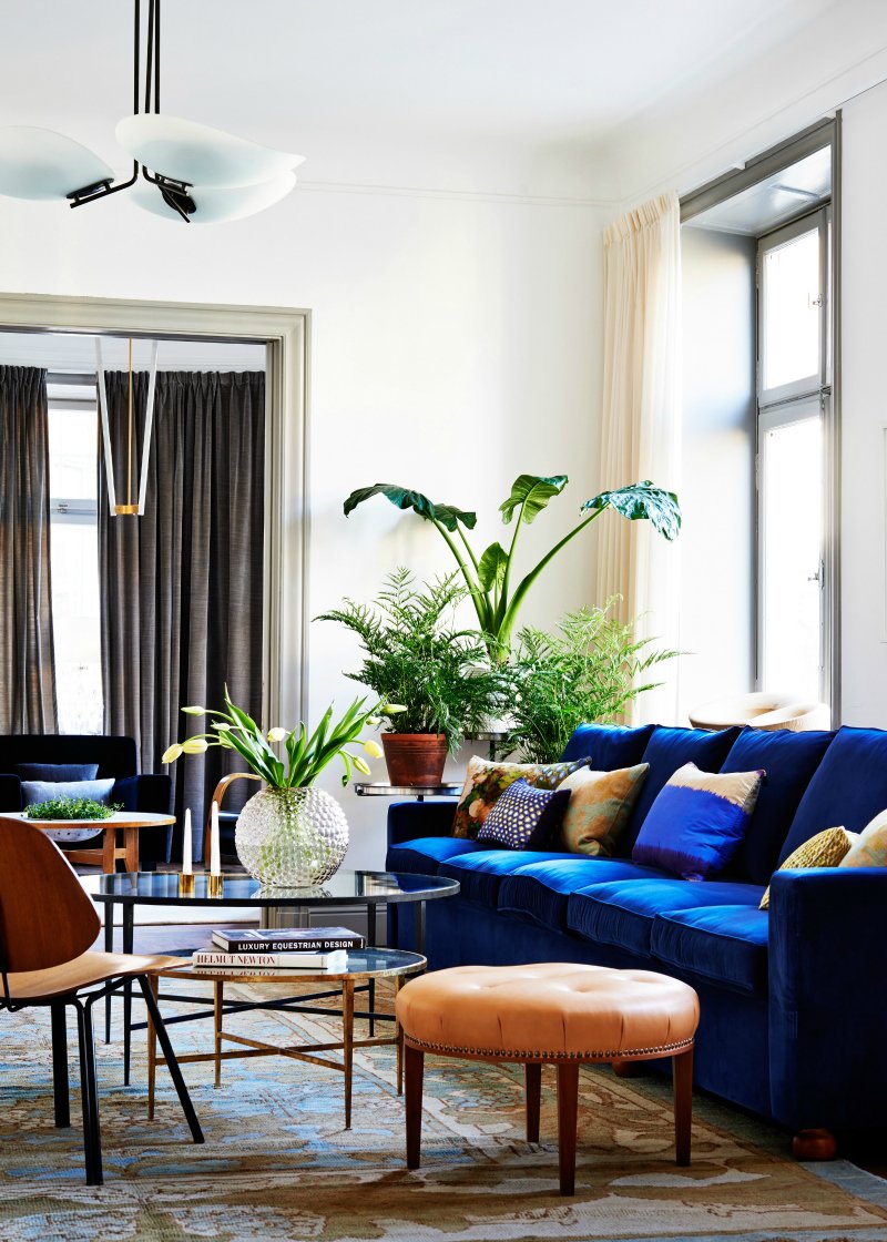 Интерьер гостиной фото с синим диваном