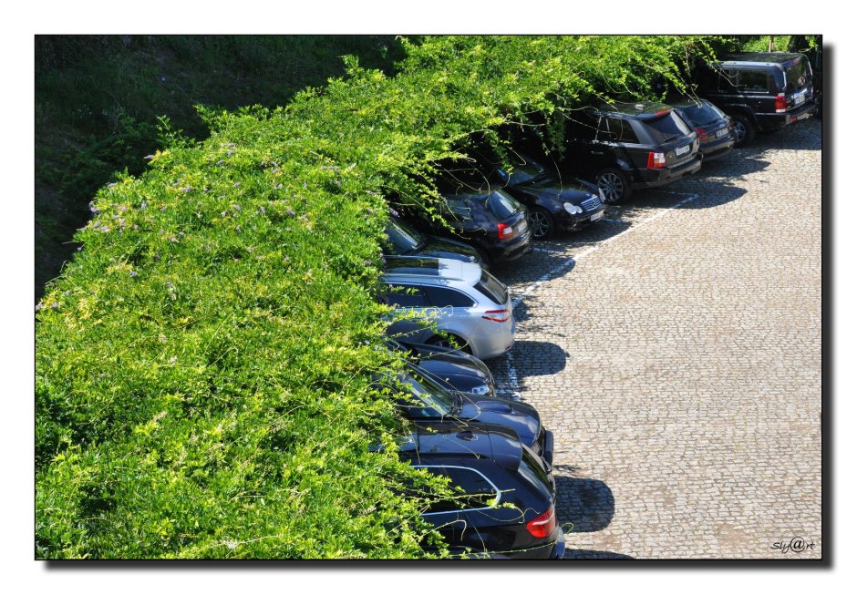 Озеленение парковки