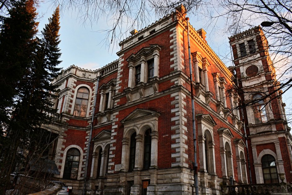 Воронцовский дворец Быково
