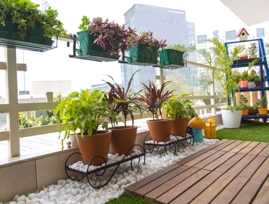 Озеленение балконов и террас