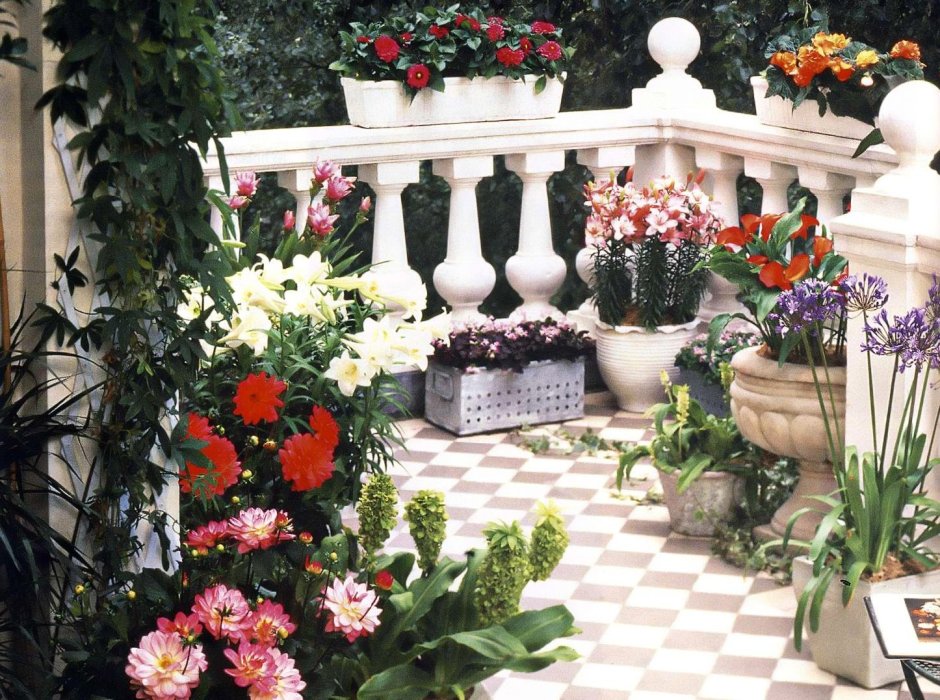 Цветочный сад на балконе