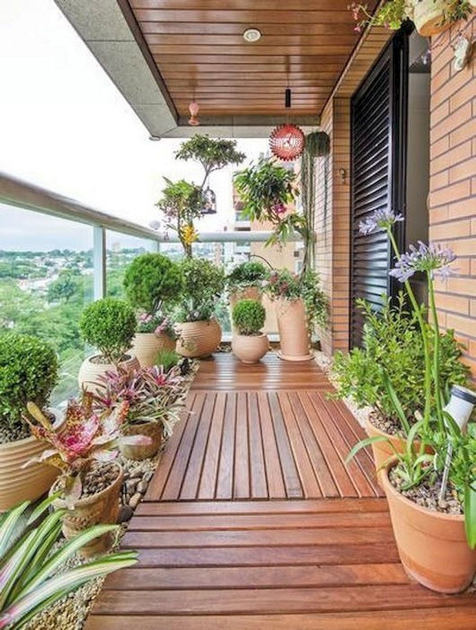 Озеленение балконов и террас