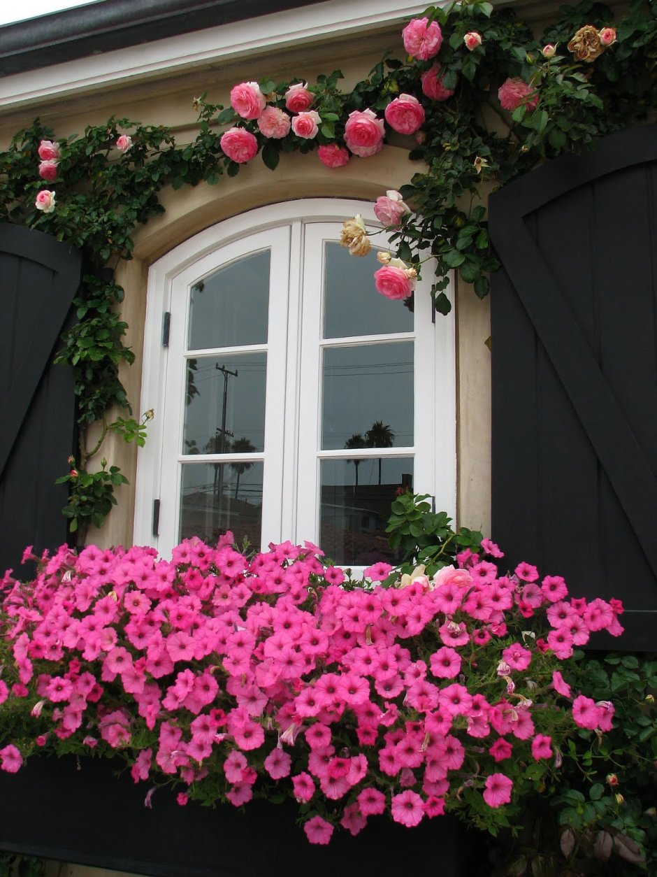 Дом украшенный цветами
