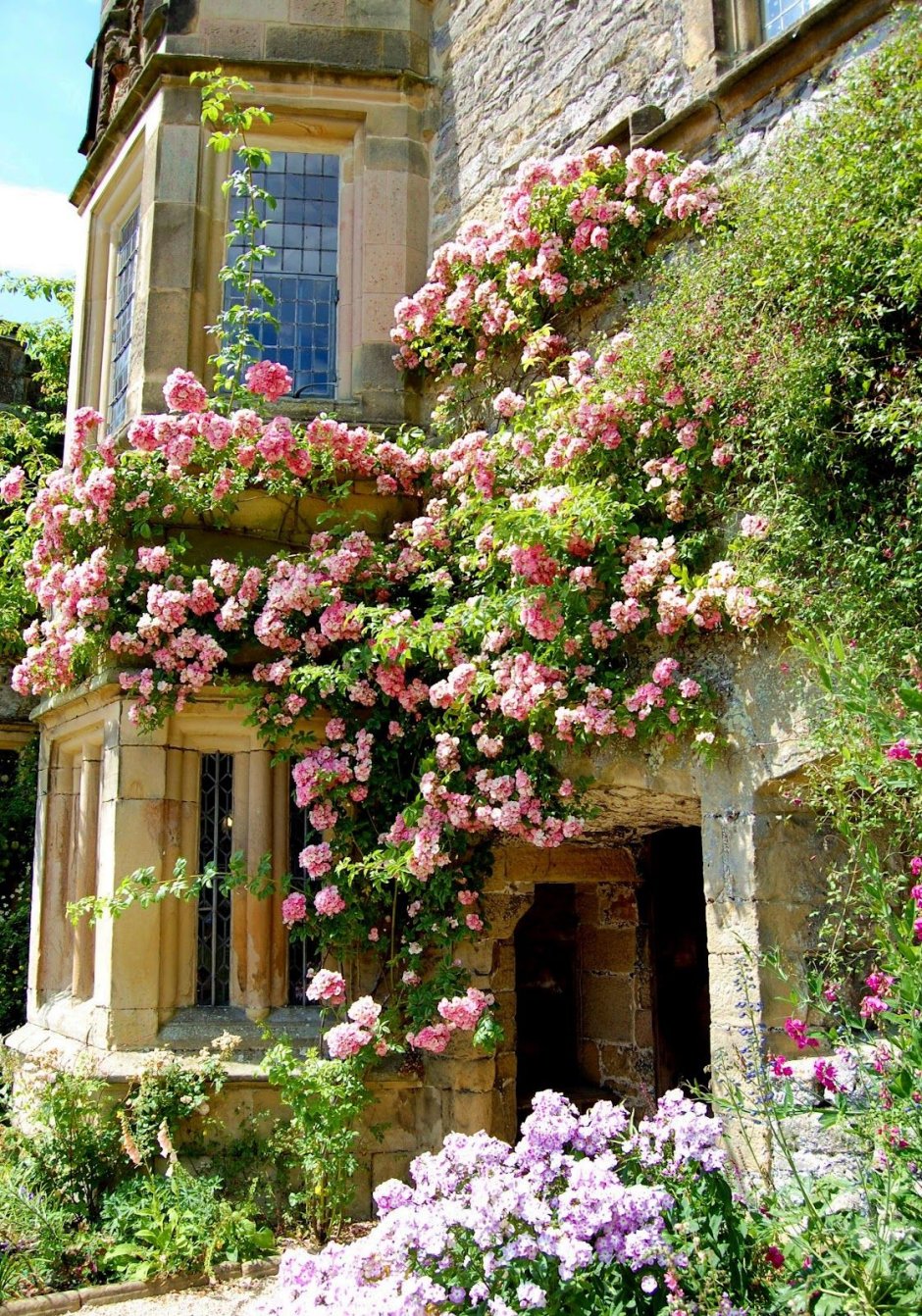 Красивый домик в цветах