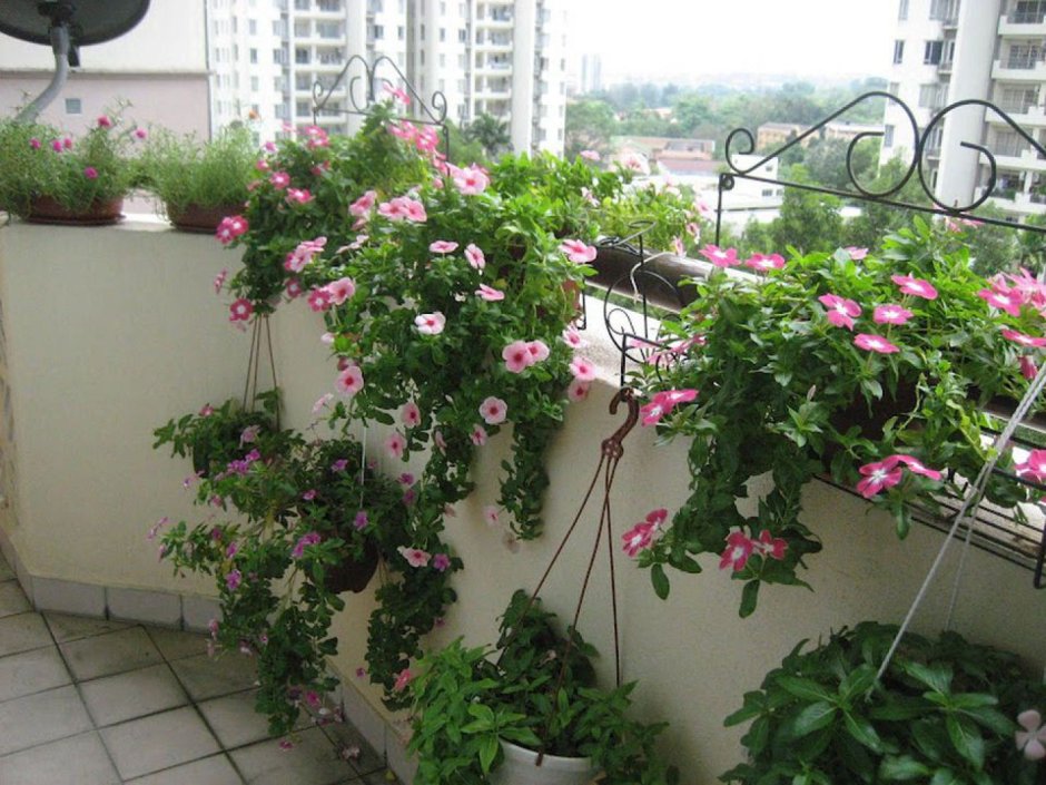 Балкон с вьющимися розами