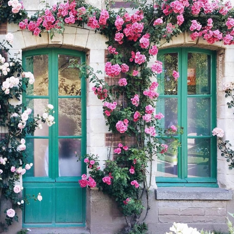 Окно с вьющимися цветами