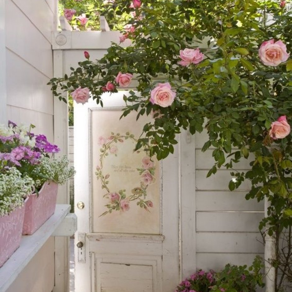 Плетистые розы в садах Прованса