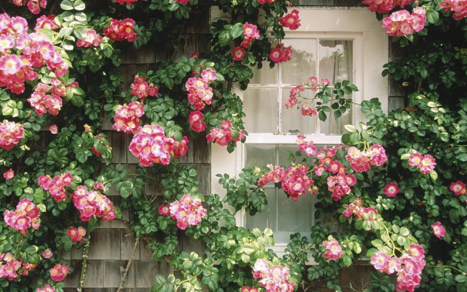 Круглый балкон с цветами