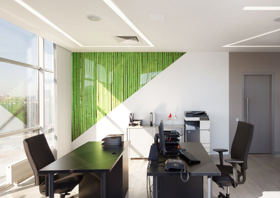Офис в зеленых тонах