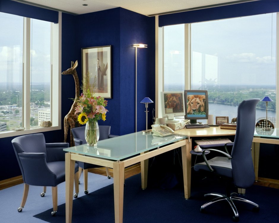 Интерьер офиса синий цвет