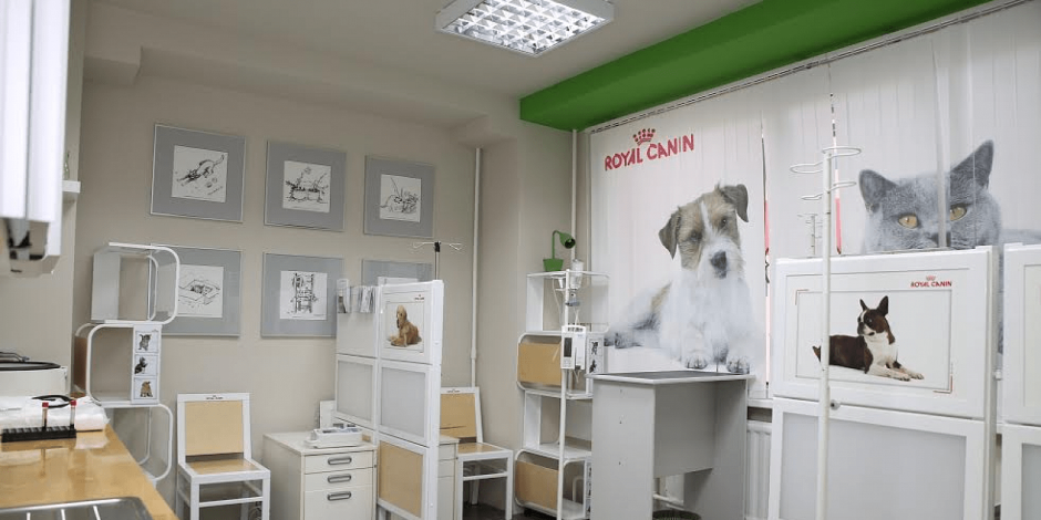 Интерьер ветеринарной клиники