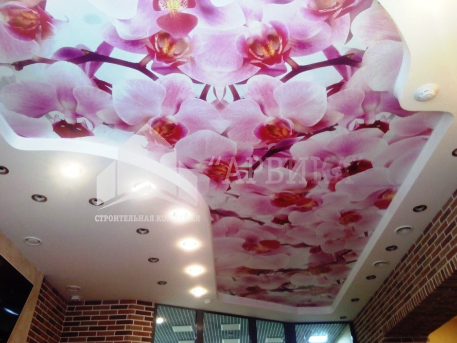 Натяжные потолки с фотопечатью Орхидея