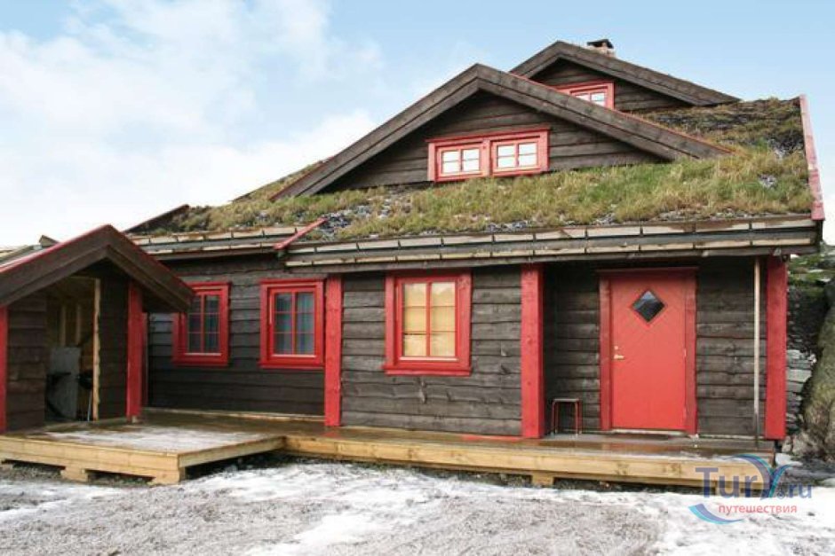 Черный норвежский дом