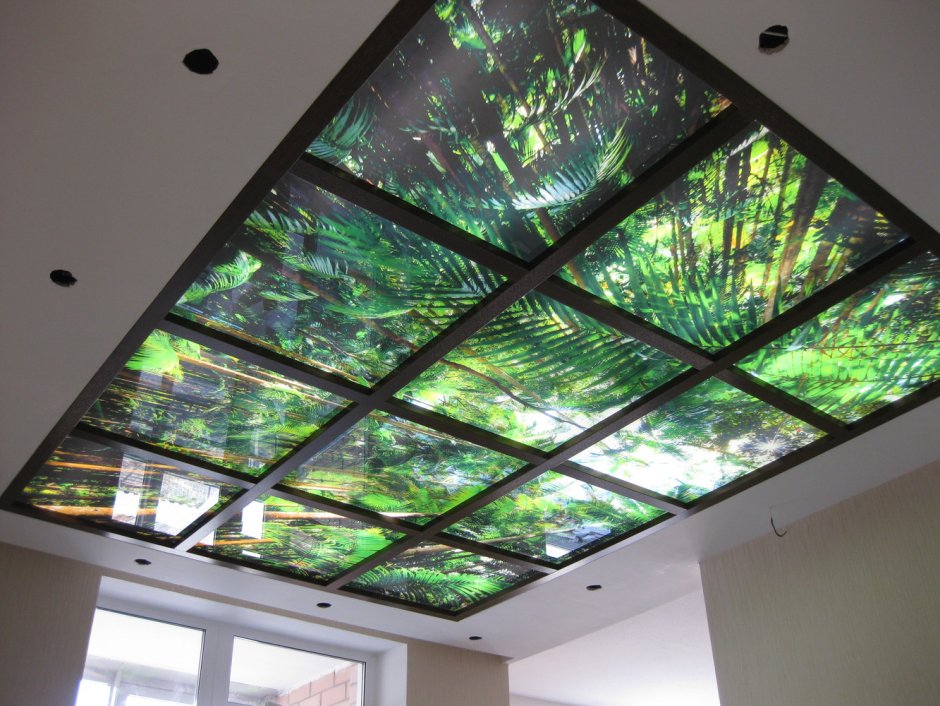 Стеклянный подвесной потолок