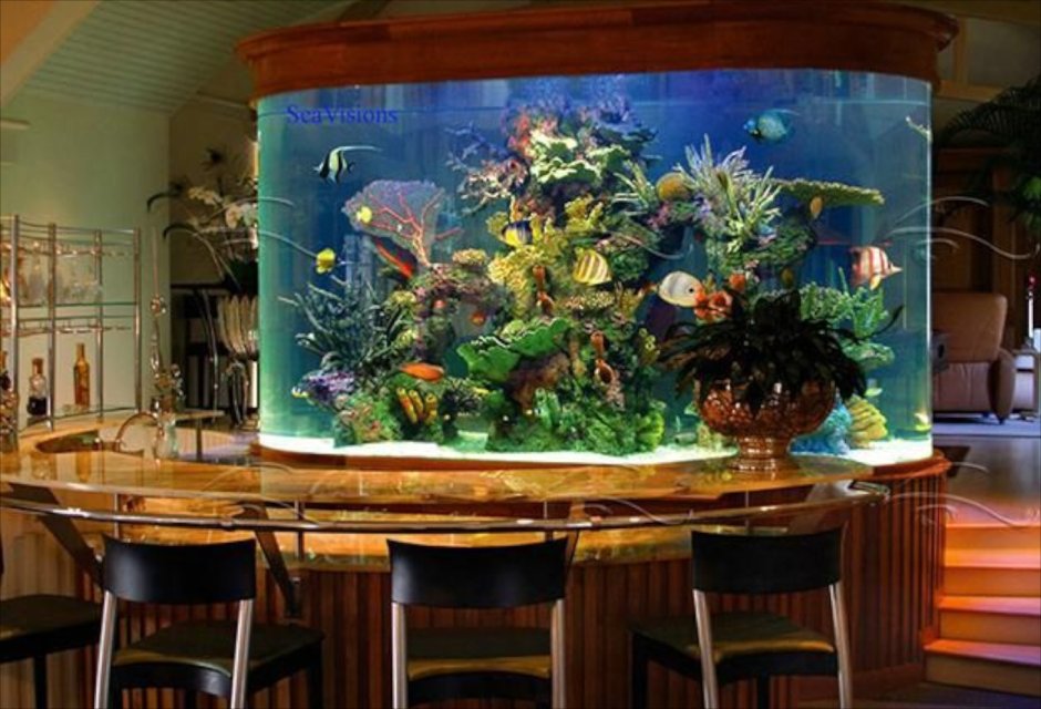 Самые красивые аквариумы мира