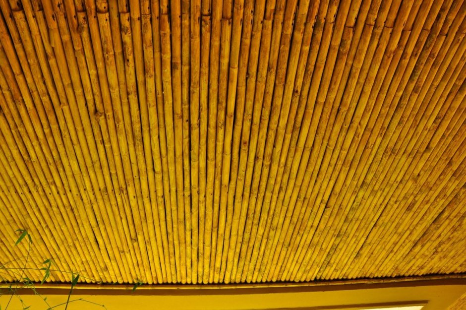 Потолок из бамбука